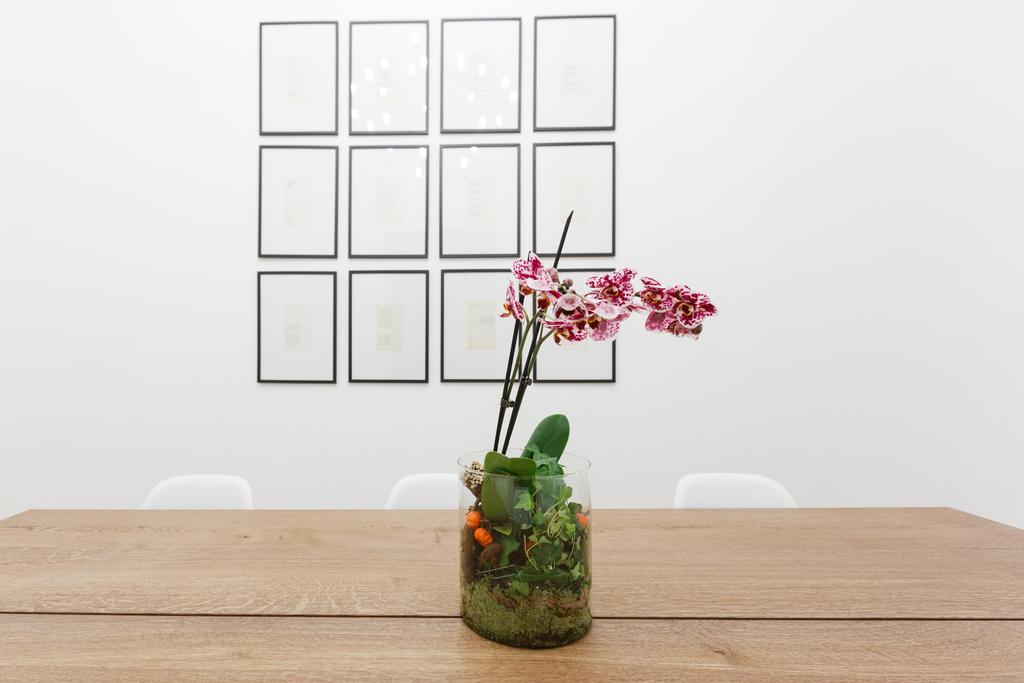 Modern Comfort, Poetic Charm Apartamento Roma